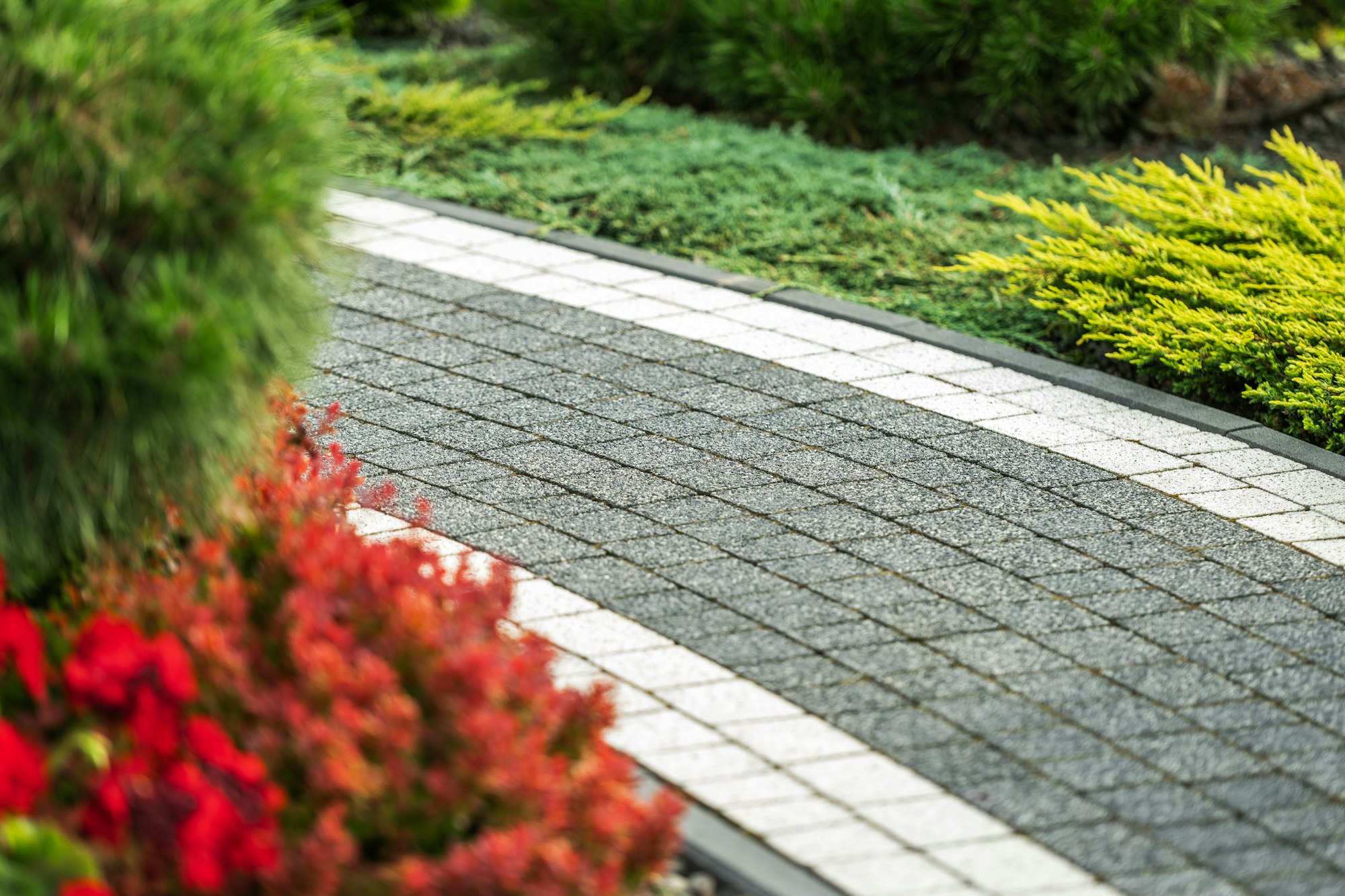 Concrete Bricks Path Inside the Beautiful Back Yard Garden